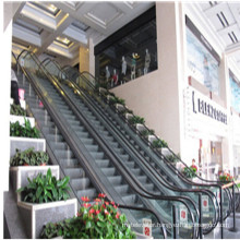 Cheap Price Cost Home Indoor Residential Escalator